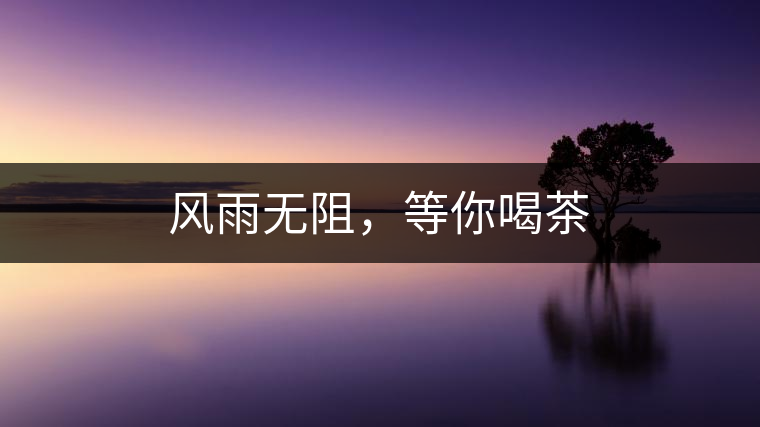 風(fēng)雨無阻，等你喝茶