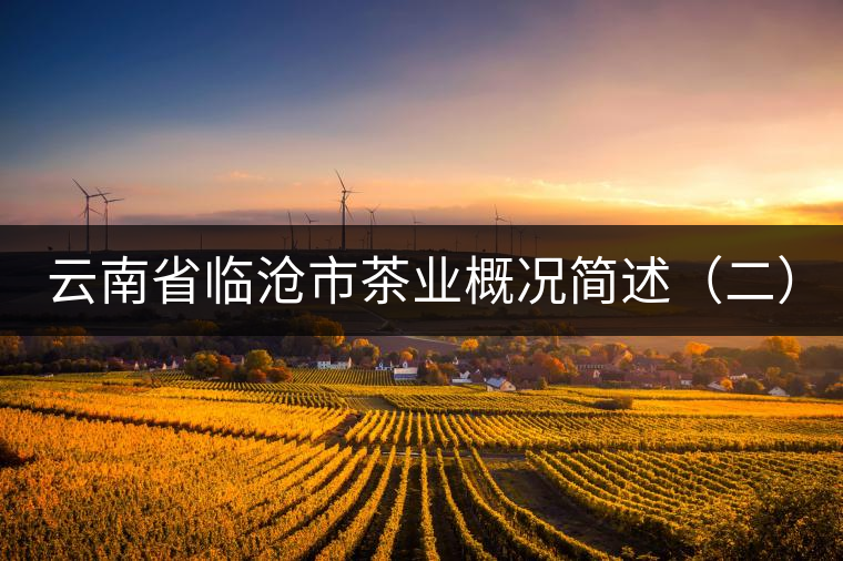云南省臨滄市茶業(yè)概況簡述(二) 云南省臨滄市茶業(yè)概況簡述(二)