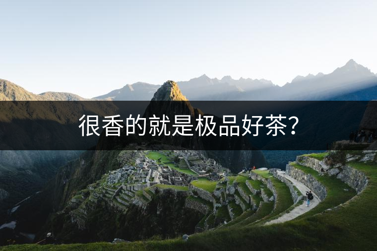 很香的就是極品好茶？