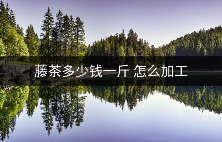 藤茶多少錢(qián)一斤 怎么加工