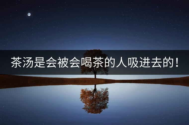 茶湯是會被會喝茶的人吸進去的！