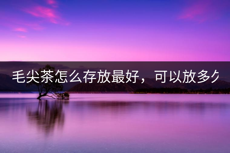毛尖茶怎么存放最好，可以放多久？