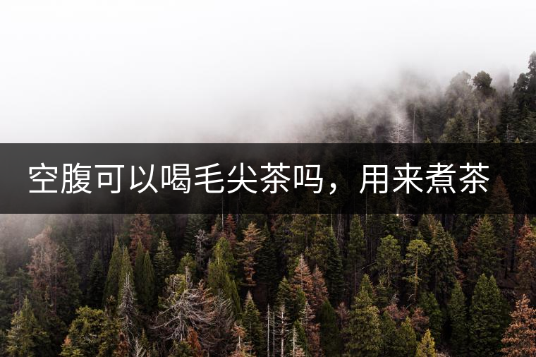 空腹可以喝毛尖茶嗎，用來(lái)煮茶葉蛋怎么樣？