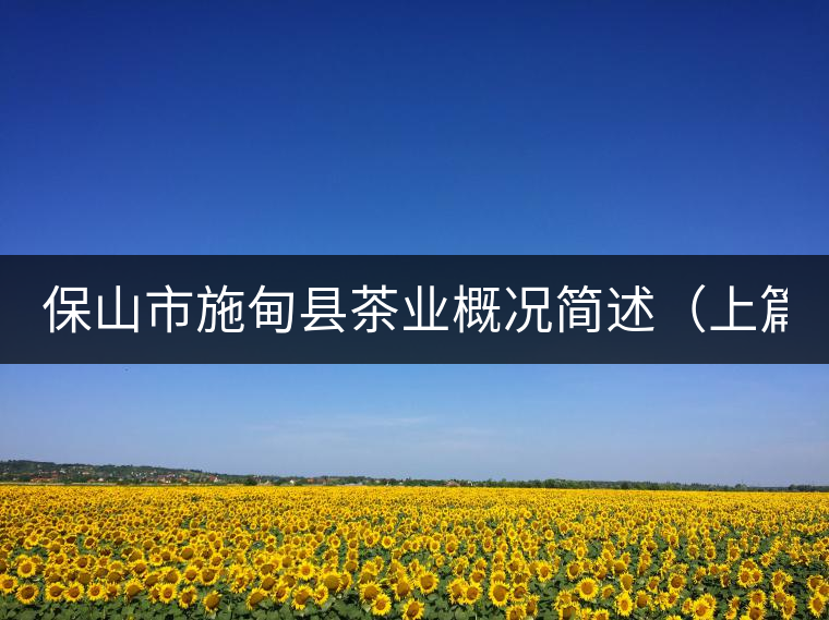 保山市施甸縣茶業(yè)概況簡(jiǎn)述（上篇）