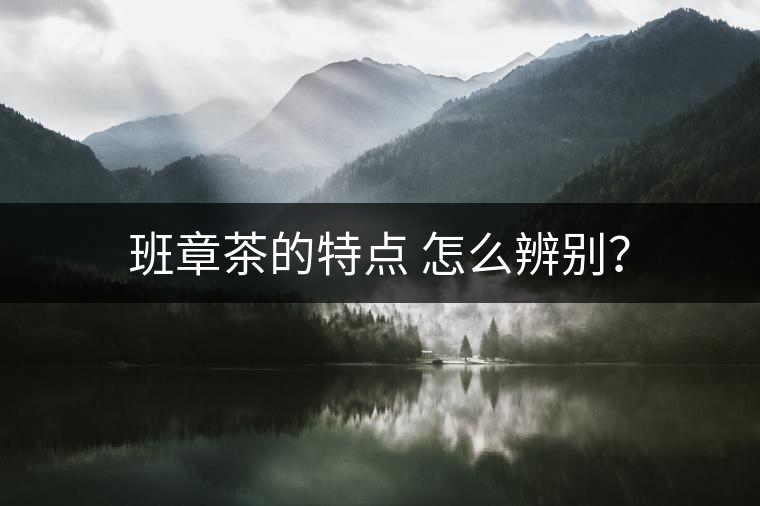 班章茶的特點 怎么辨別？