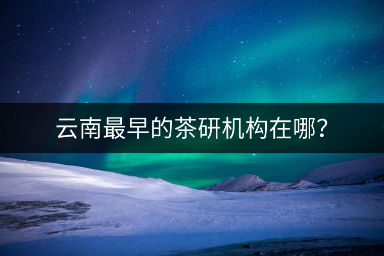 云南最早的茶研機構(gòu)在哪？