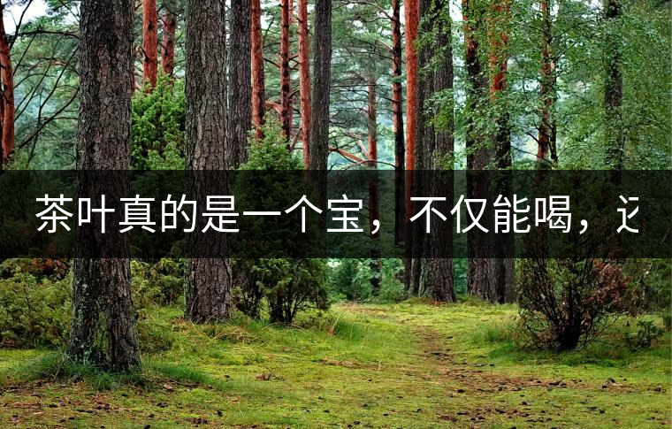 茶葉真的是一個(gè)寶，不僅能喝，還能用！