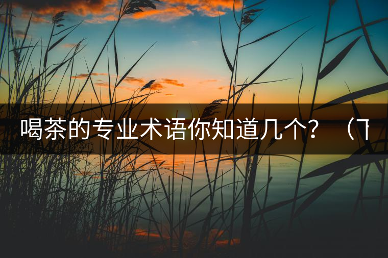 喝茶的專業(yè)術(shù)語你知道幾個(gè)？（下篇）