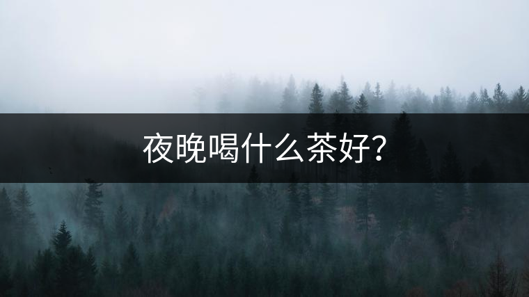 夜晚喝什么茶好？