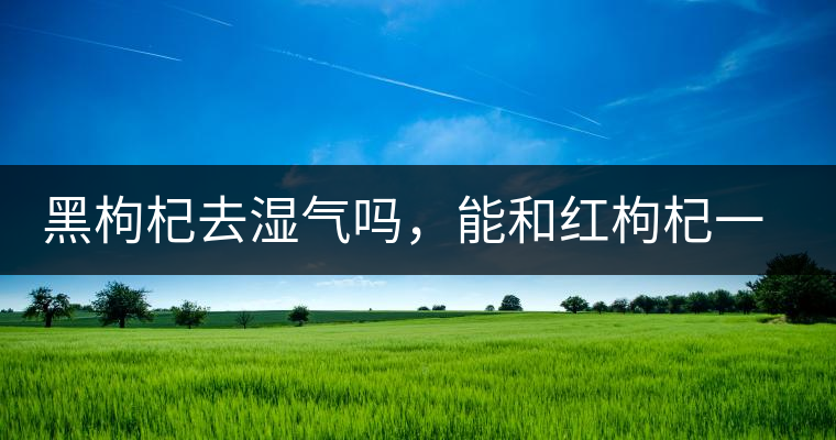 黑枸杞去濕氣嗎，能和紅枸杞一起泡嗎？