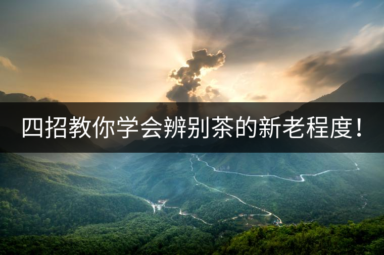 四招教你學(xué)會辨別茶的新老程度！