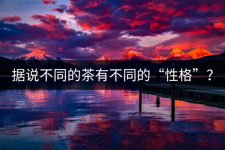 據(jù)說不同的茶有不同的“性格”？