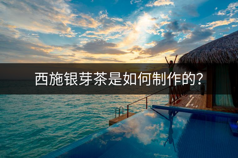 西施銀芽茶是如何制作的？