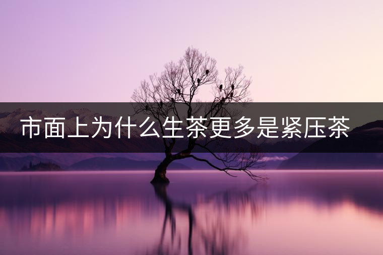 市面上為什么生茶更多是緊壓茶而非散茶？