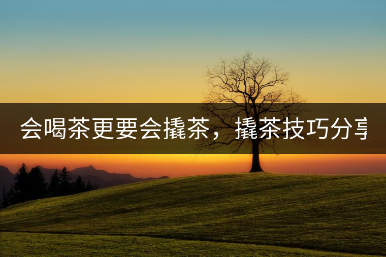 會(huì)喝茶更要會(huì)撬茶，撬茶技巧分享！