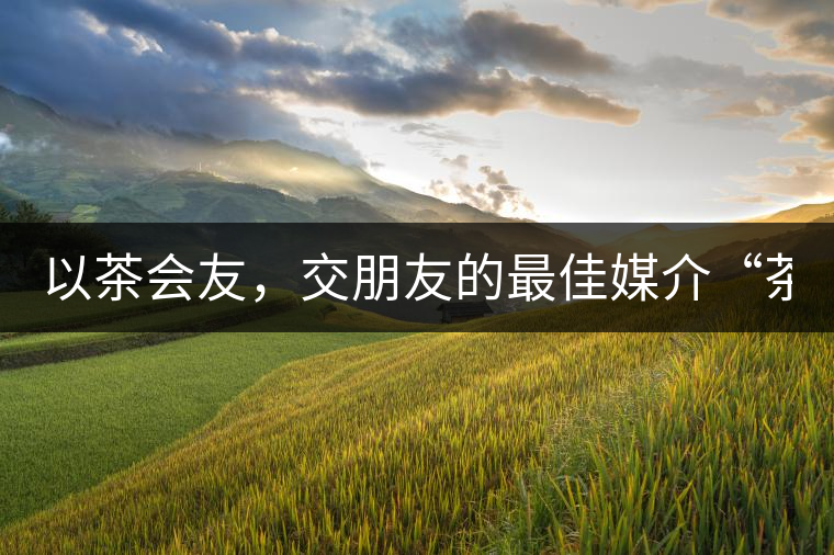 以茶會(huì)友，交朋友的最佳媒介“茶”！