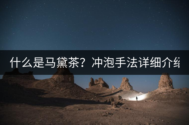 什么是馬黛茶？沖泡手法詳細(xì)介紹！