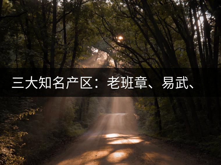 三大知名產(chǎn)區(qū)：老班章、易武、景邁三大茶系都有哪些特點(diǎn)！