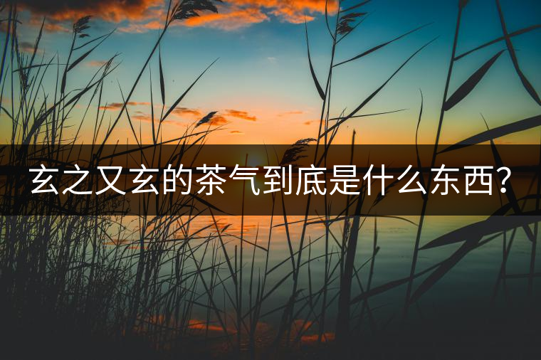 玄之又玄的茶氣到底是什么東西？