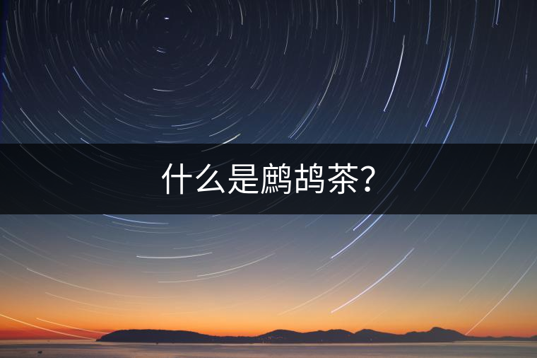 什么是鷓鴣茶？