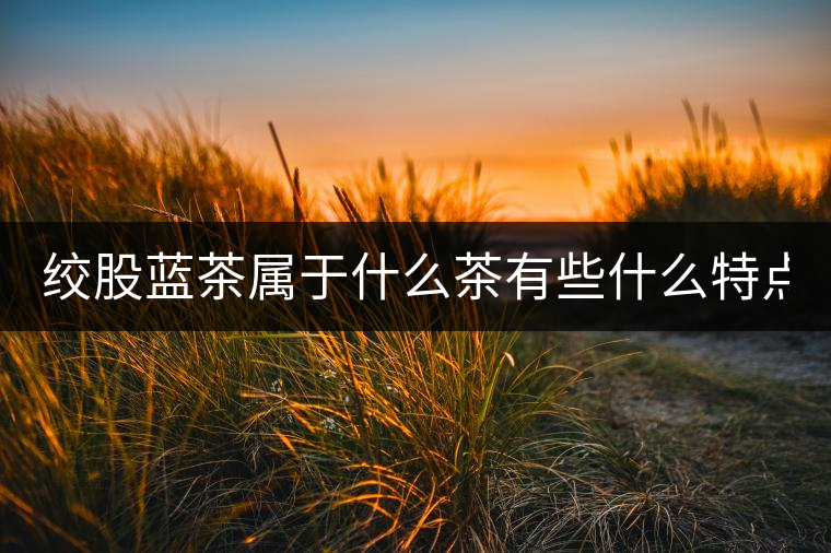 絞股藍茶屬于什么茶有些什么特點？