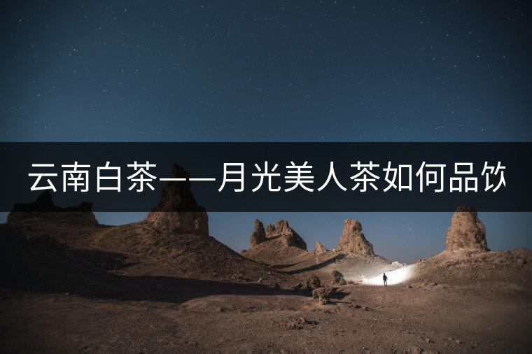 云南白茶——月光美人茶如何品飲？