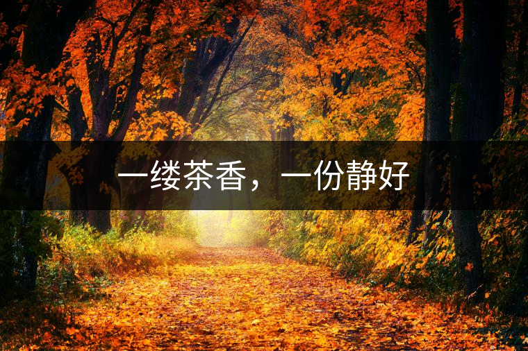 一縷茶香，一份靜好