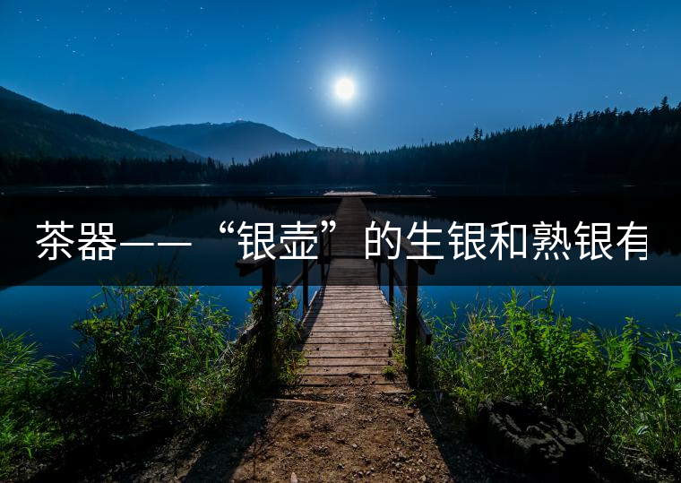茶器——“銀壺”的生銀和熟銀有什么區(qū)別嗎？