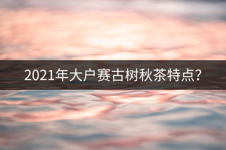 2021年大戶賽古樹秋茶特點(diǎn)？