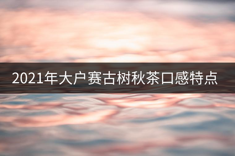 2021年大戶(hù)賽古樹(shù)秋茶口感特點(diǎn)? 2021年大戶(hù)賽古樹(shù)秋茶口感特點(diǎn)?
