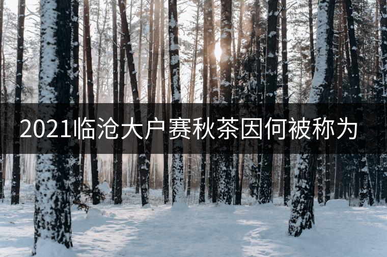 2021臨滄大戶賽秋茶因何被稱為潛力股？