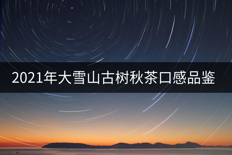 2021年大雪山古樹秋茶口感品鑒？