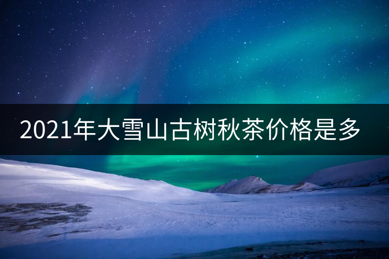 2021年大雪山古樹(shù)秋茶價(jià)格是多少？