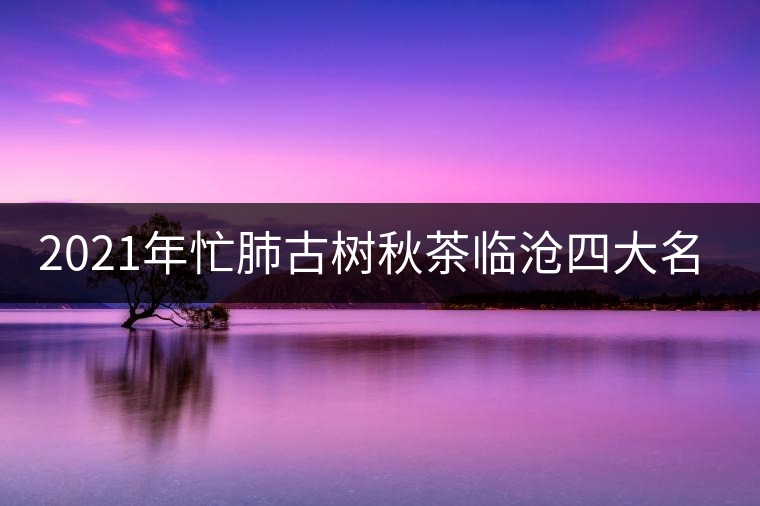 2021年忙肺古樹秋茶臨滄四大名茶之一！