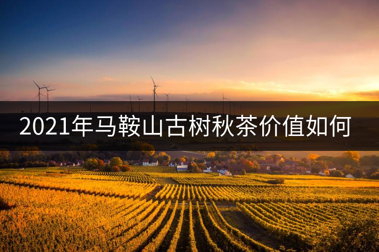 2021年馬鞍山古樹(shù)秋茶價(jià)值如何？