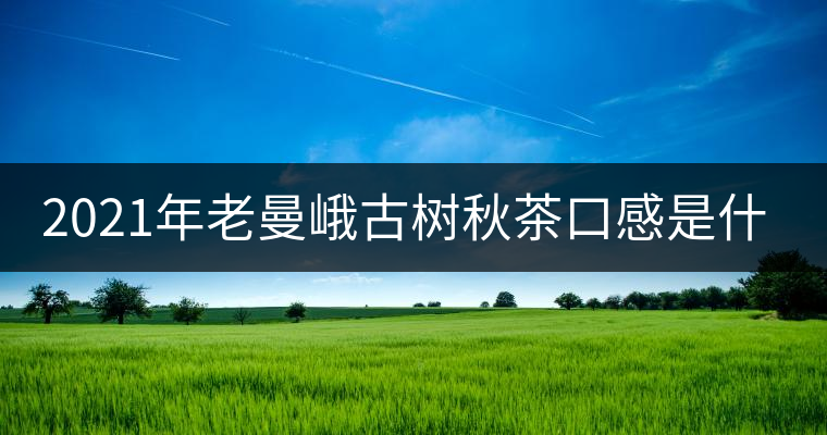 2021年老曼峨古樹秋茶口感是什么？