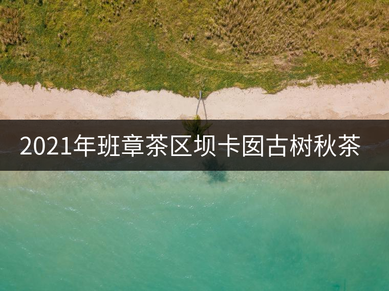 2021年班章茶區(qū)壩卡囡古樹秋茶多少錢一公斤？