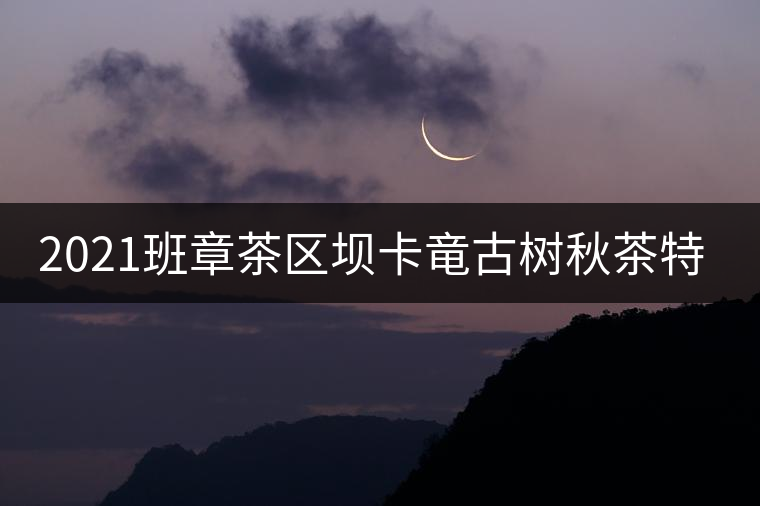 2021班章茶區(qū)壩卡竜古樹秋茶特點(diǎn)！