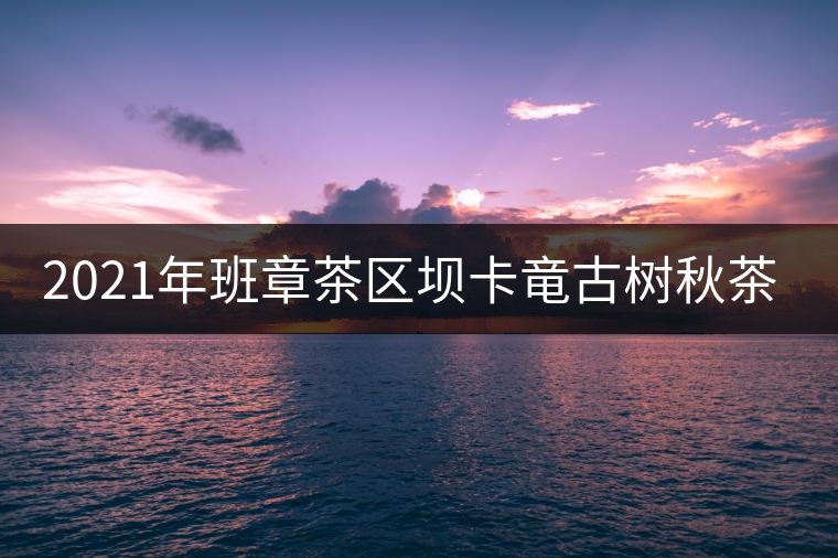 2021年班章茶區(qū)壩卡竜古樹秋茶多少錢一公斤？