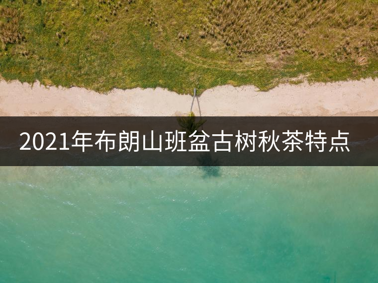 2021年布朗山班盆古樹(shù)秋茶特點(diǎn)?