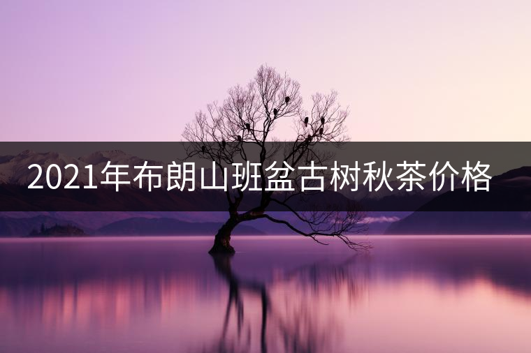 2021年布朗山班盆古樹秋茶價格？