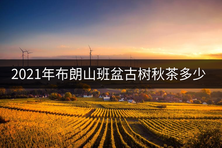 2021年布朗山班盆古樹(shù)秋茶多少錢(qián)一公斤？