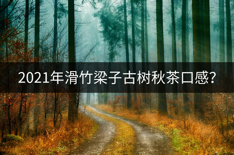 2021年滑竹梁子古樹秋茶口感？