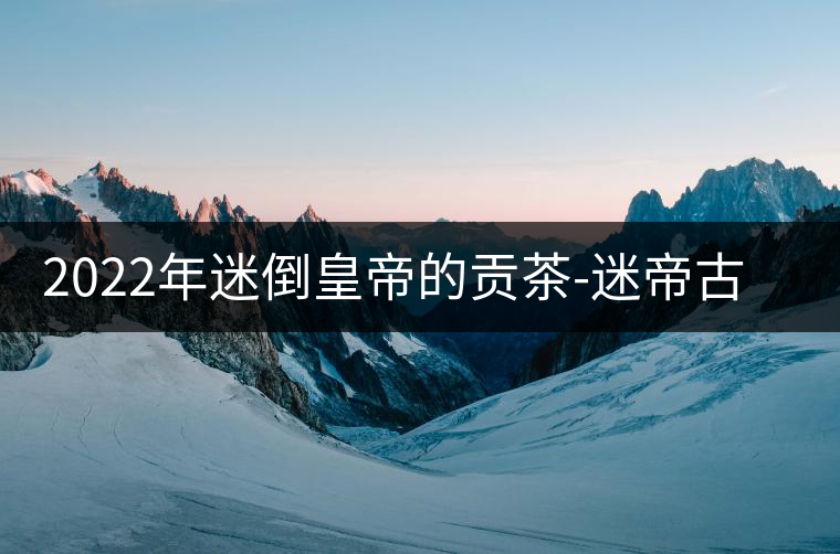 2022年迷倒皇帝的貢茶-迷帝古樹春茶特點(diǎn)？