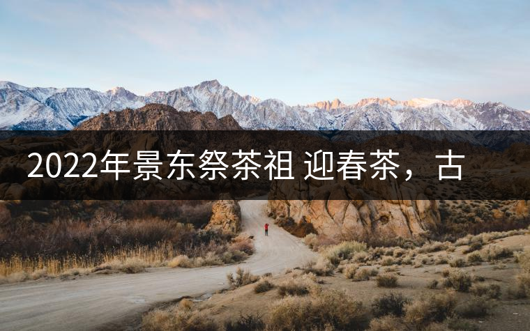 2022年景東祭茶祖 迎春茶，古樹(shù)春茶多少錢一公斤？