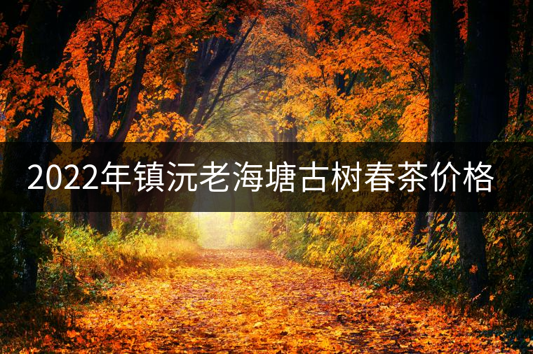 2022年鎮(zhèn)沅老海塘古樹春茶價(jià)格？