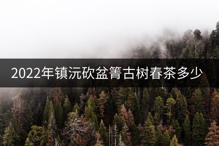 2022年鎮(zhèn)沅砍盆箐古樹春茶多少錢一公斤？