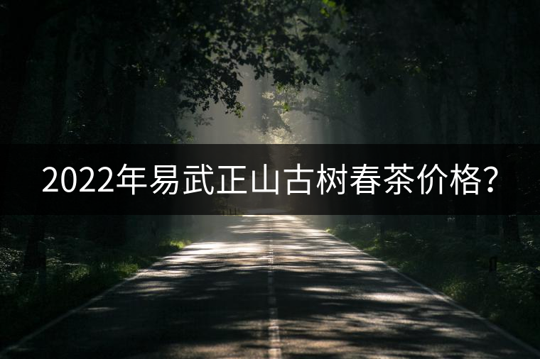 2022年易武正山古樹春茶價格？