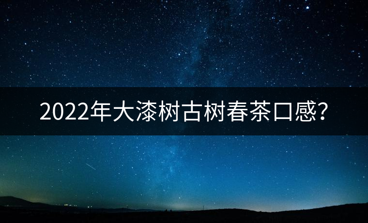 2022年大漆樹古樹春茶口感？