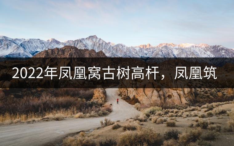 2022年鳳凰窩古樹高桿，鳳凰筑巢的地方